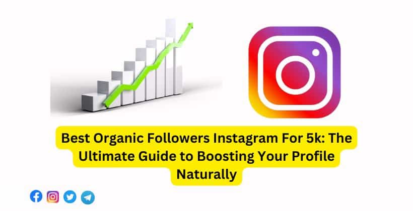 Best Organic Followers Instagram For 5k